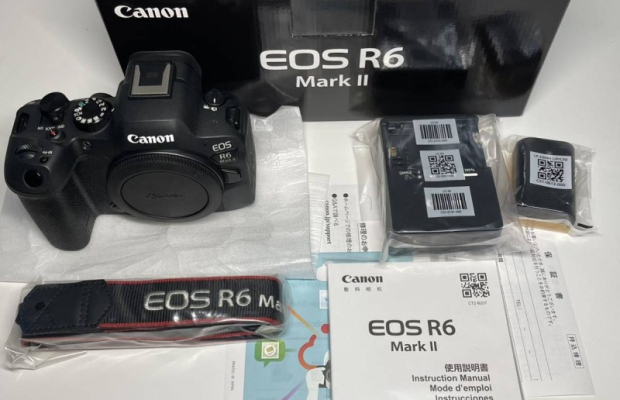 Canon EOS R3, Canon EOS R5, Canon EOS R6 Mark II,  Canon EOS R6, Canon EOS R7, Nikon Z9,  Nikon Z8, Nikon Z 7II