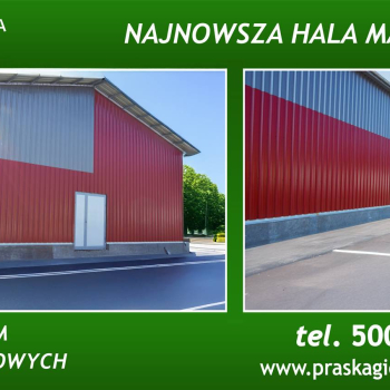 Hala/Magazyn na wynajem
