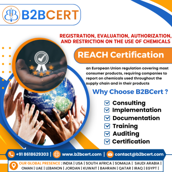 REACH Certification Services in Austin